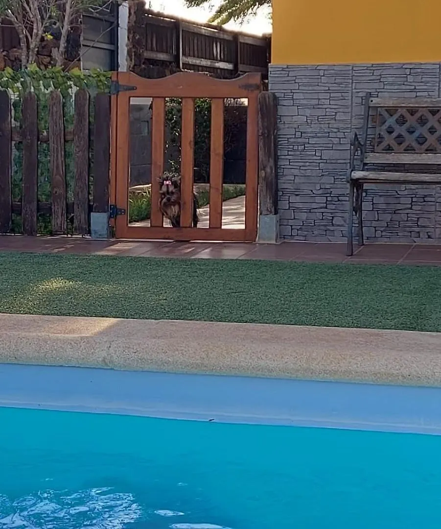 Villa Calma Private Pool La Oliva By Holidays Home Spain